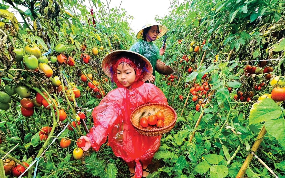 Mô hình du lịch nông nghiệp bền vững ở Giang Biên